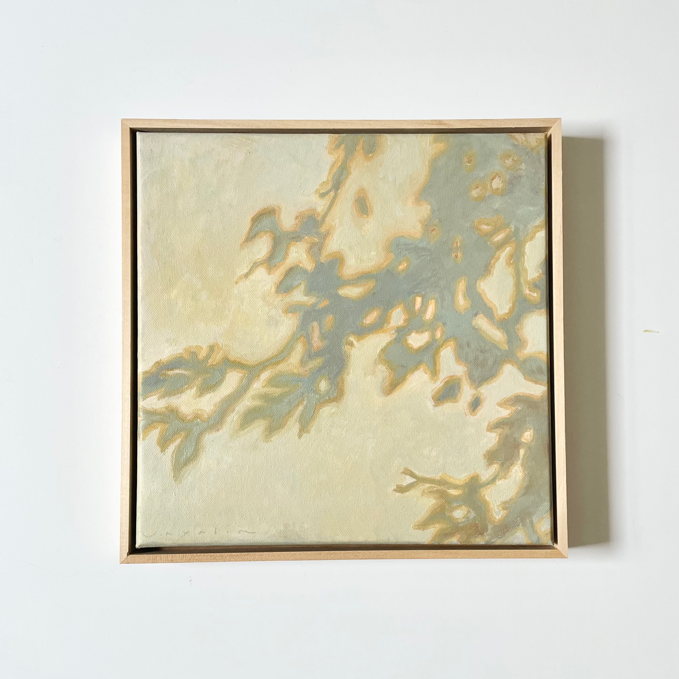 12x12_oil_on_canvas.png