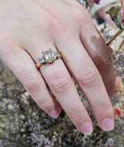 Natural Diamonds Emerald & Princess Cut 3.35tcw 14K 2-Tone Gold Ring