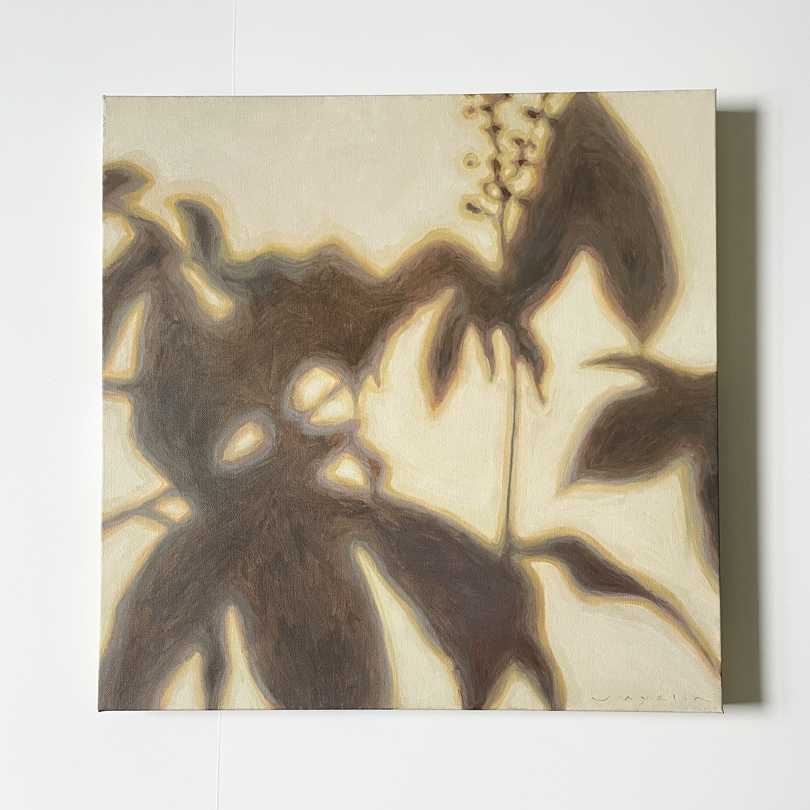 20x20_oil_on_canvas.png