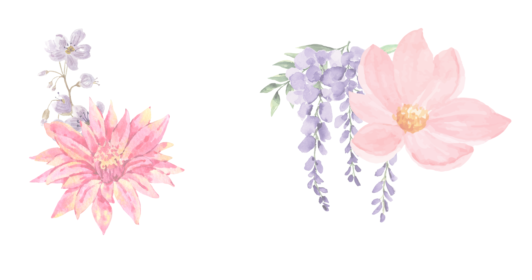 BloomTourSale_HPs_052025_v3.png