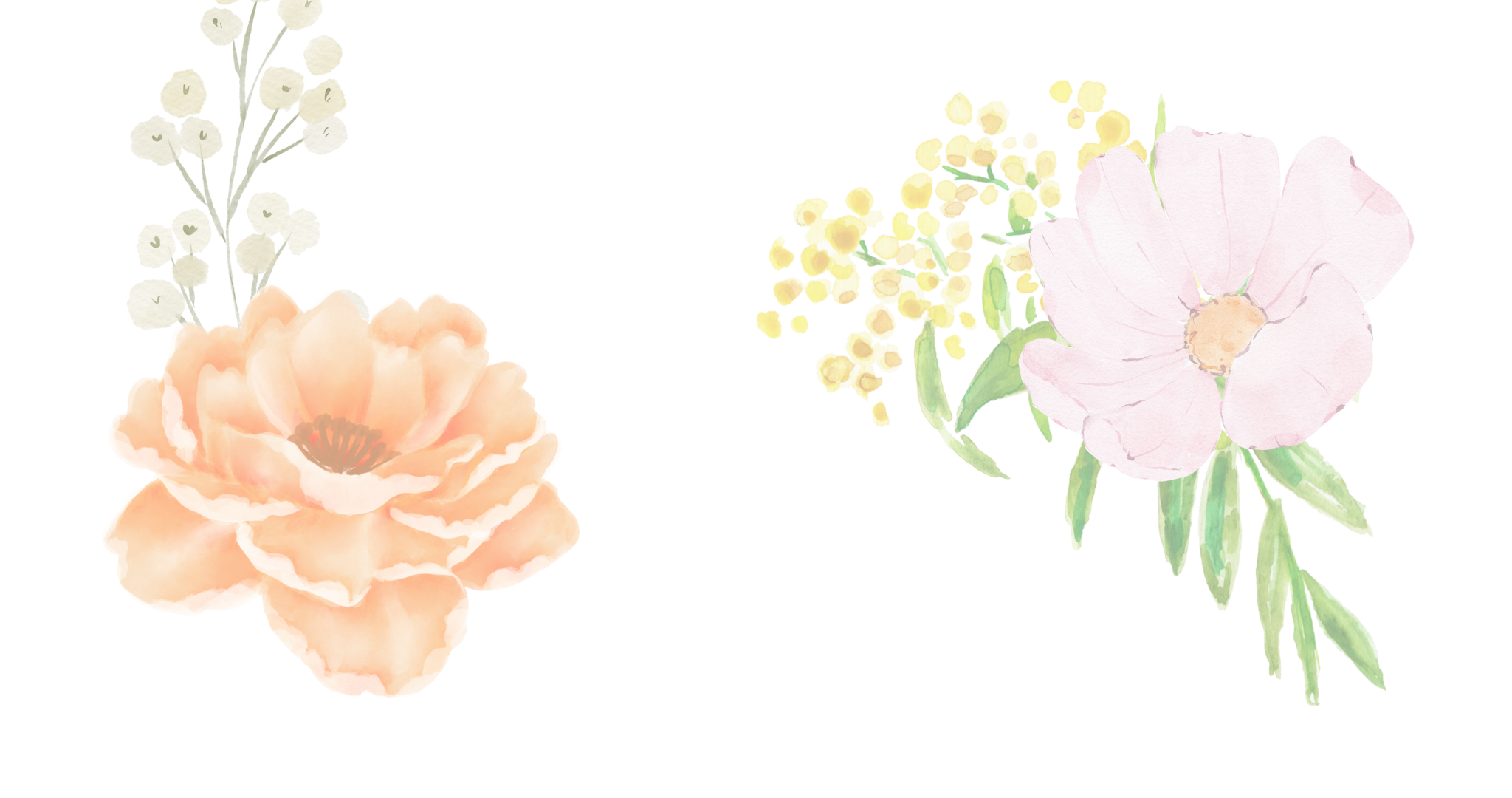 BloomTourWeeklyDeal_HPs_052025.png