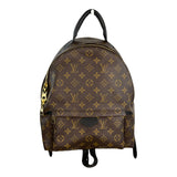 Louis Vuitton Palm Springs MM