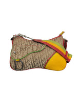 Dior Rasta Trotter Double Saddle Bag