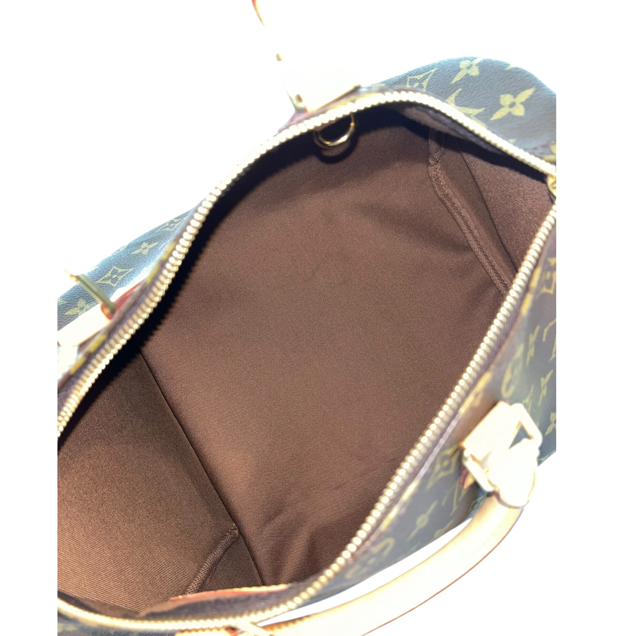 Louis Vuitton Speedy 30