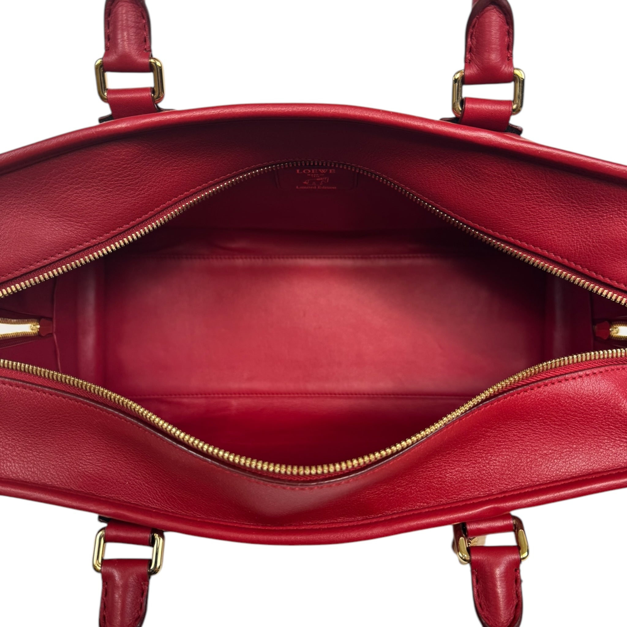 Loewe Amazona Special Limited Edition X Katie Hillier