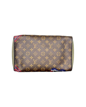 Louis Vuitton Kabuki Speedy 30
