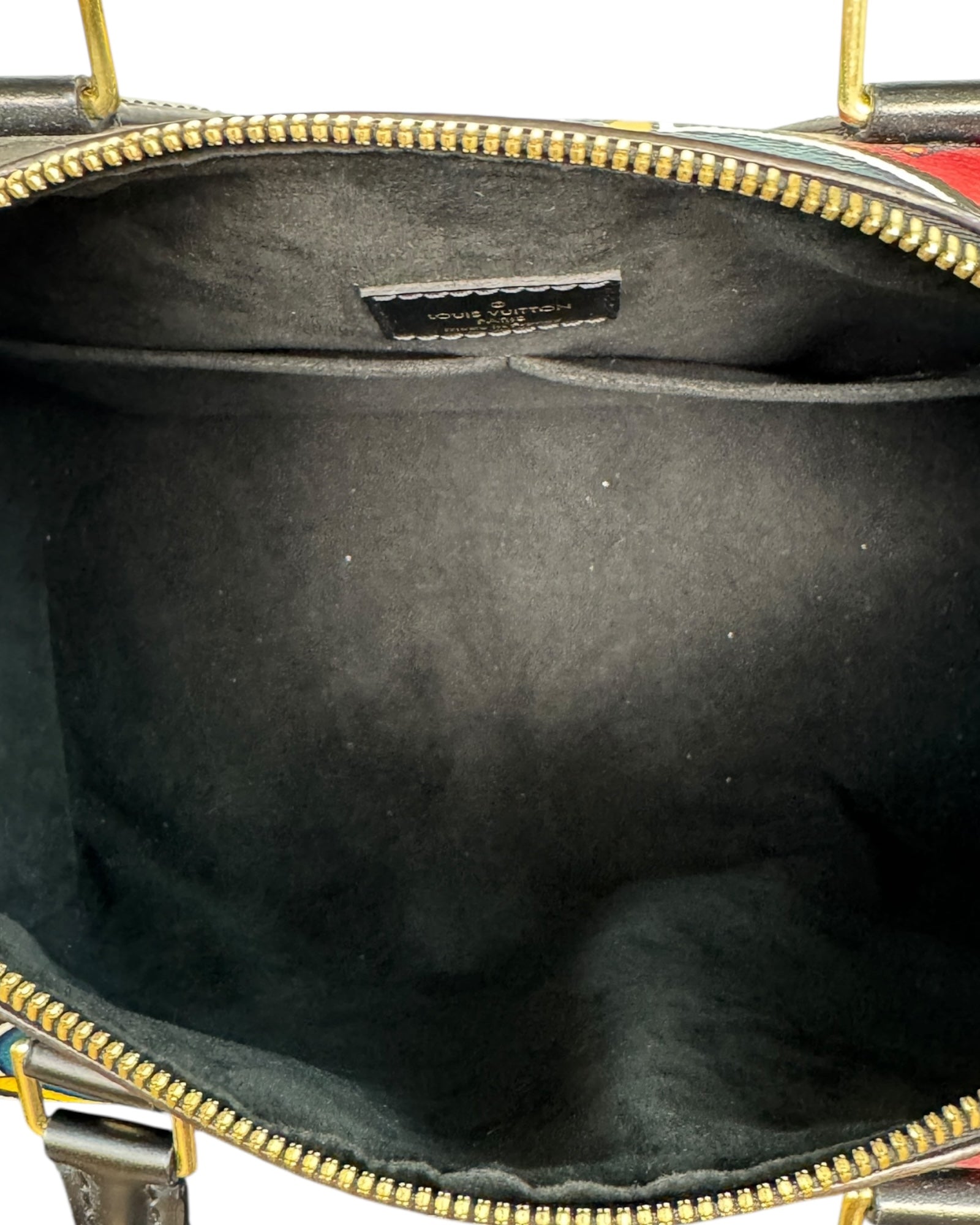 Louis Vuitton Kabuki Speedy 30