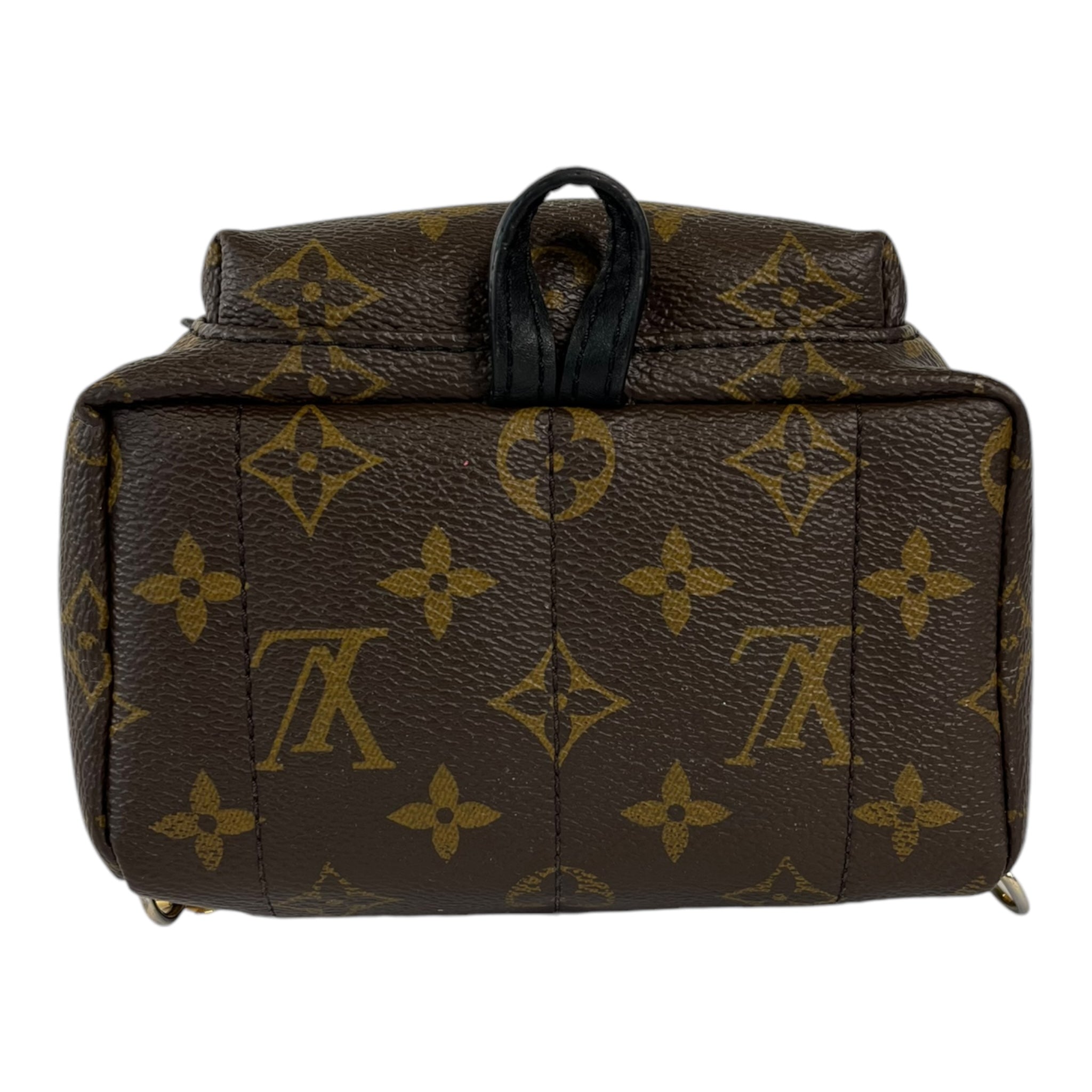 Louis Vuitton Palm Springs Mini