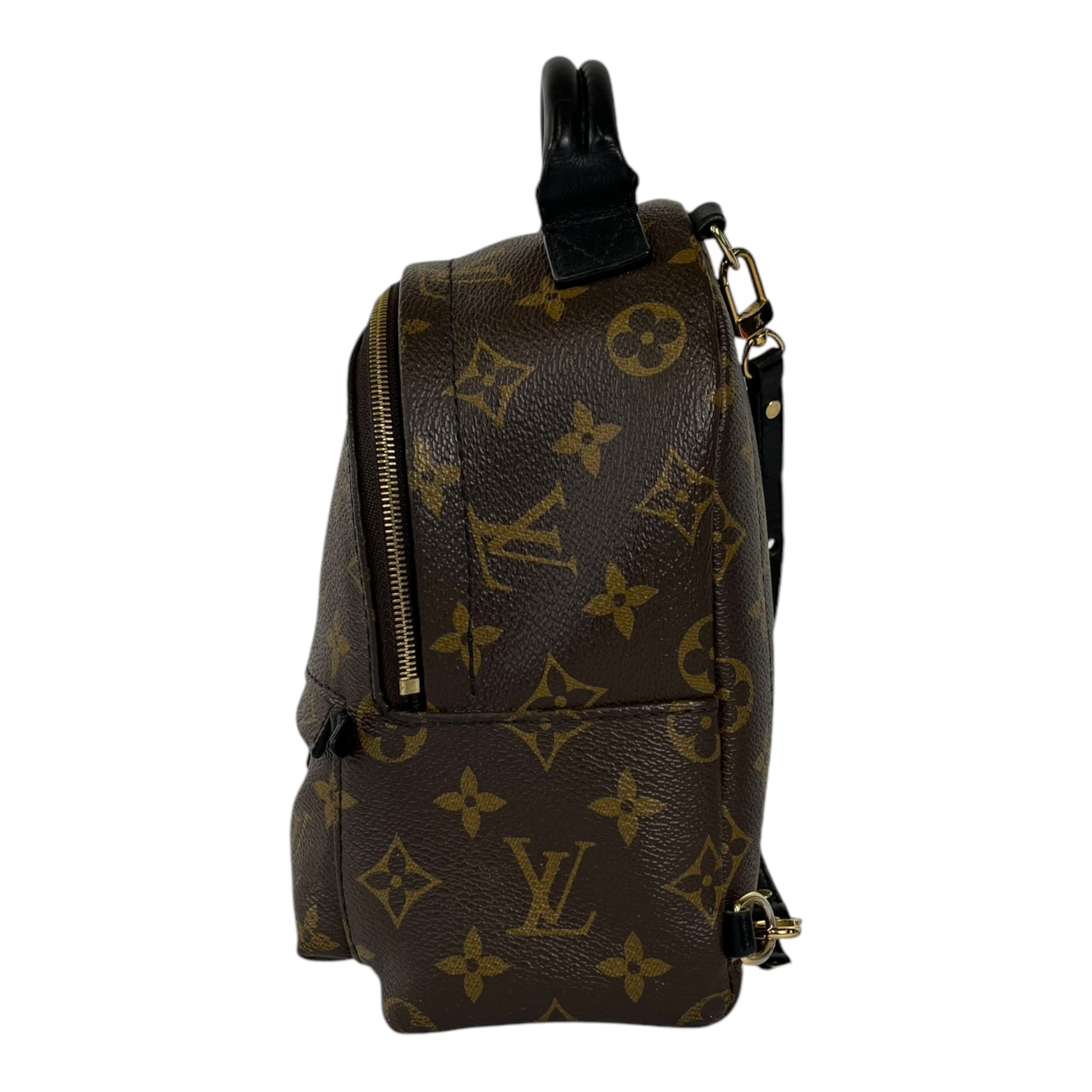 Louis Vuitton Palm Springs Mini