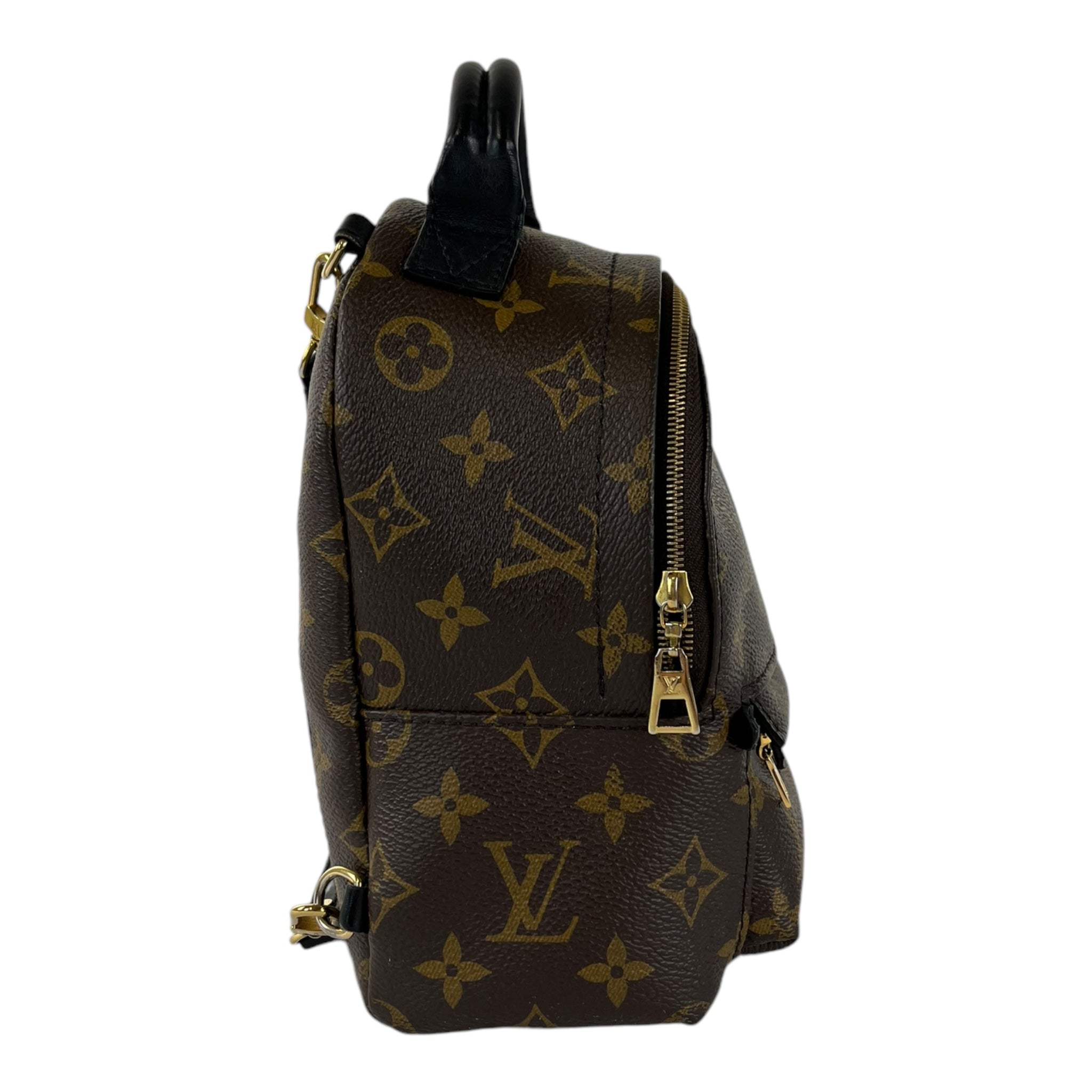 Louis Vuitton Palm Springs Mini