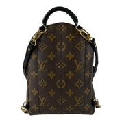 Louis Vuitton Palm Springs Mini