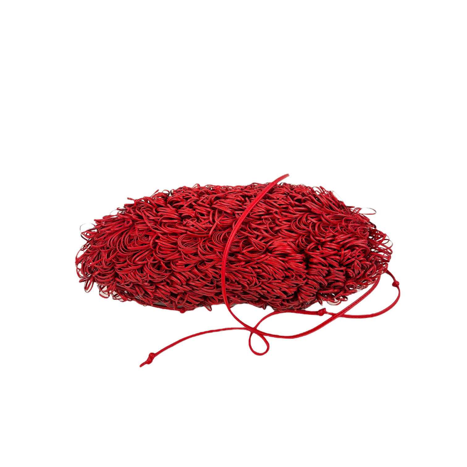 bottegasponge_3.png