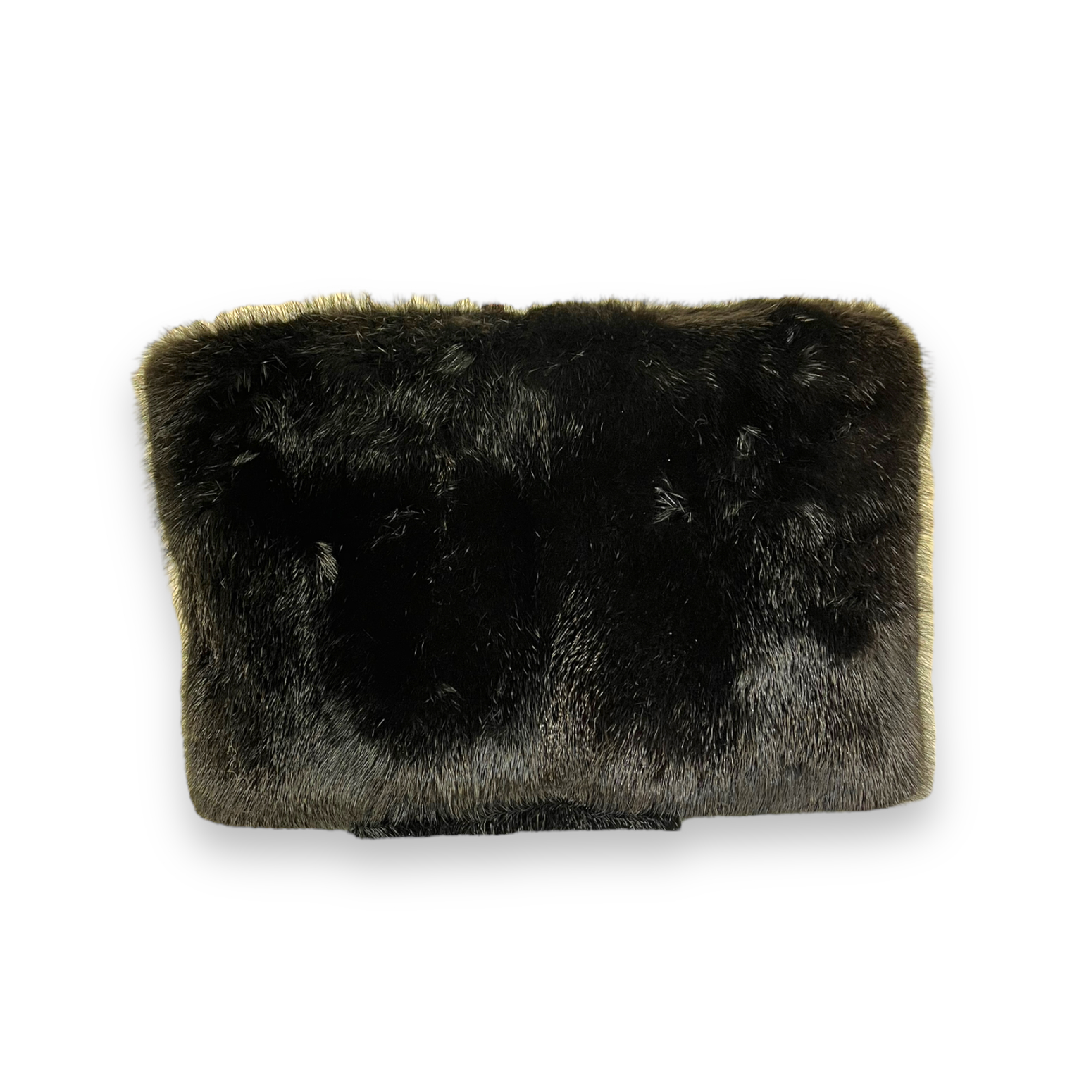 ferragamoclutch.png