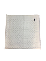 Louis Vuitton Monogram Shawl