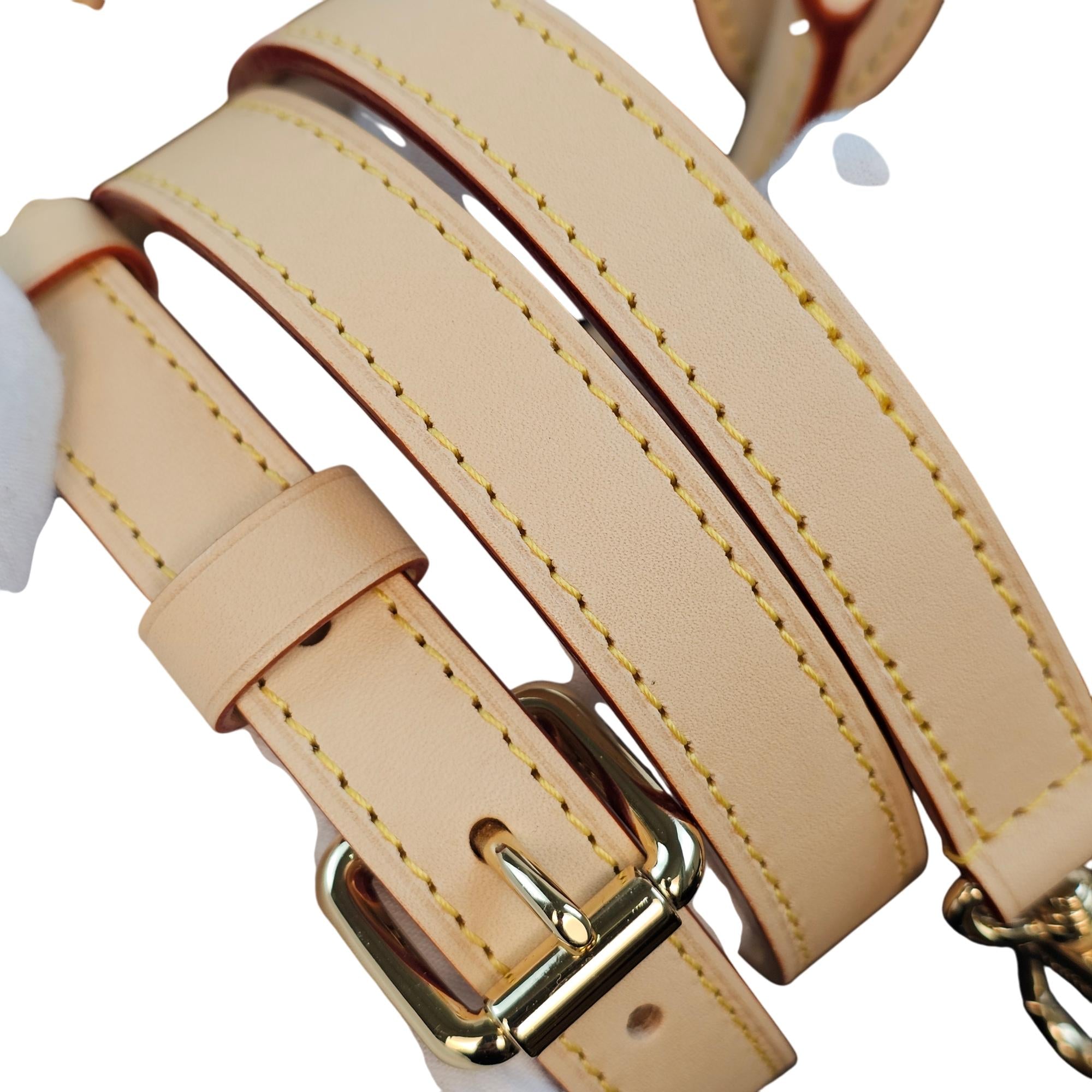 Louis Vuitton x Takashi Murakami OnTheGo PM Cherry Blossom Monogram Handbag