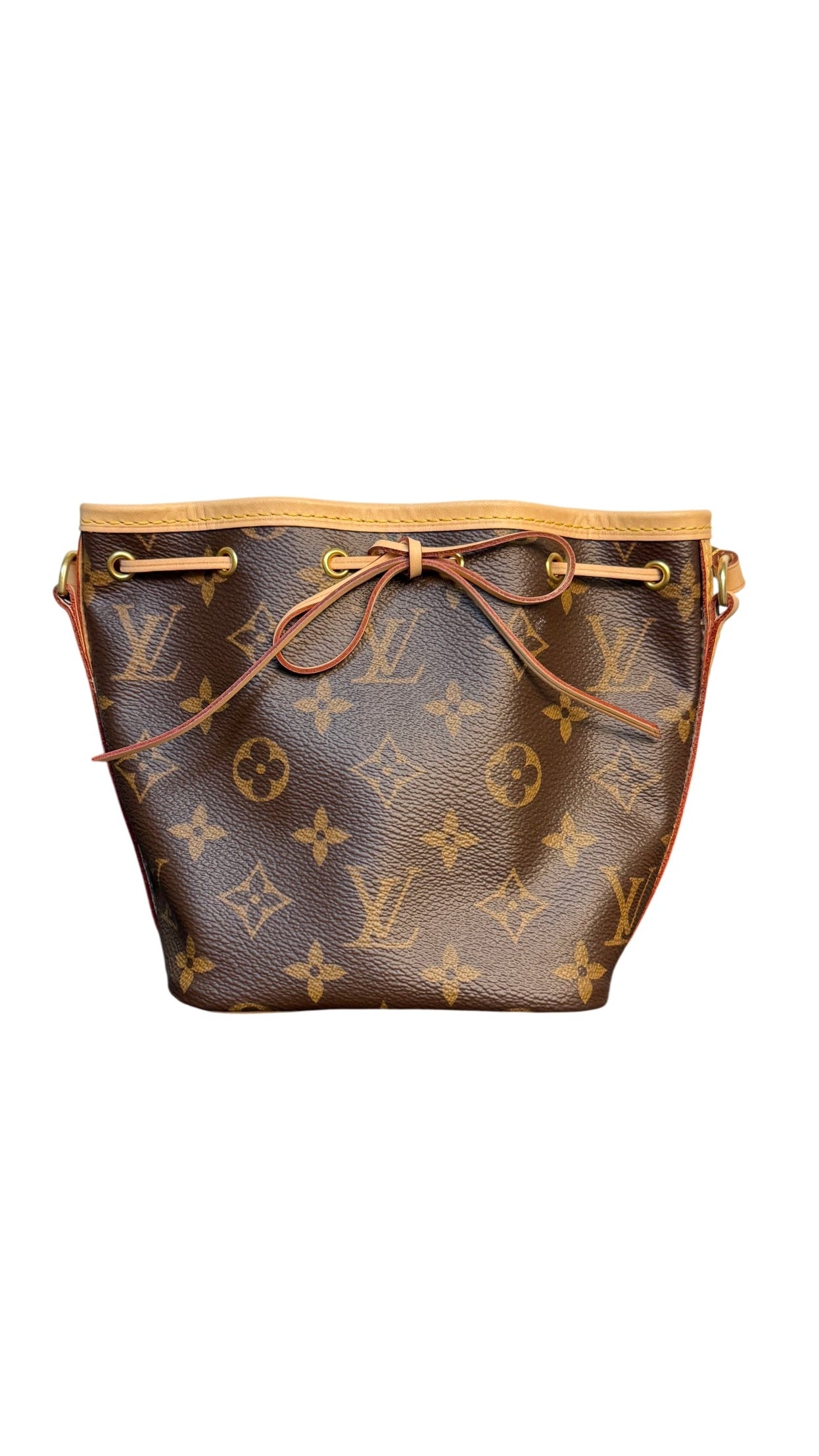 Louis Vuitton Monogram Nano Noé Bucket Bag