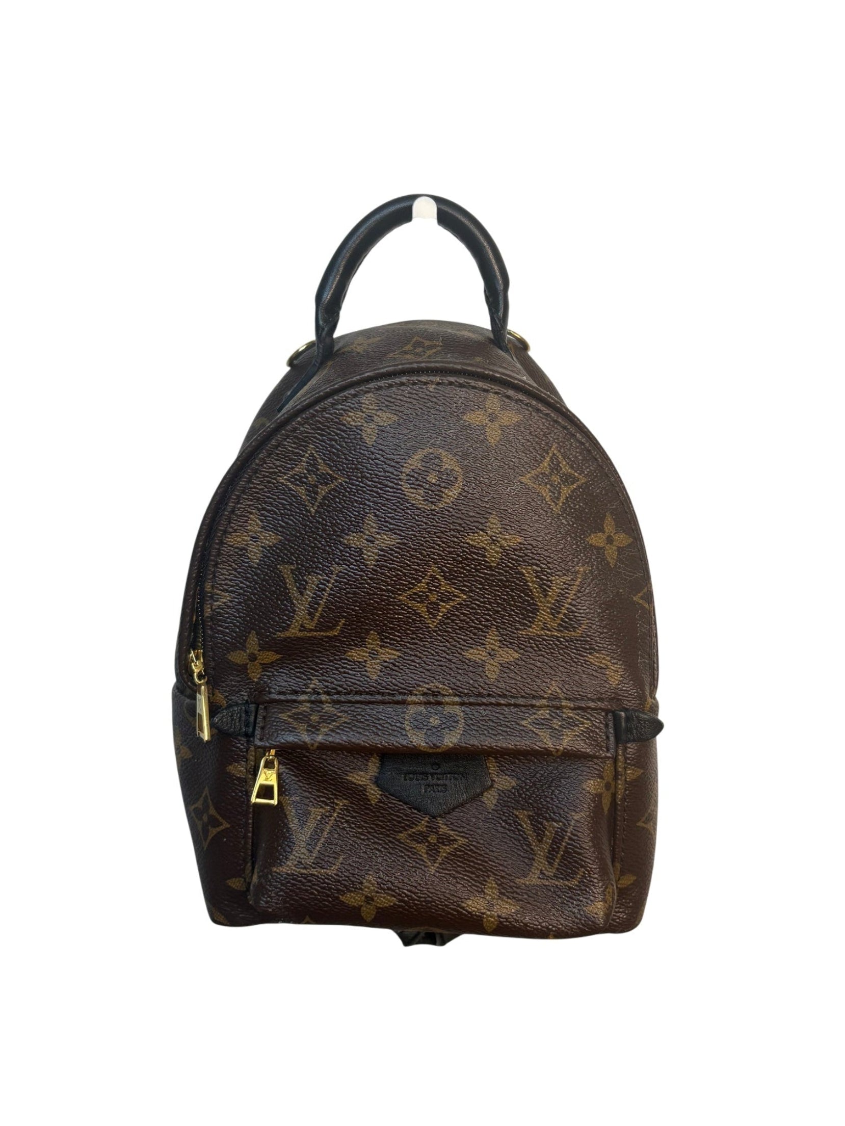 Louis Vuitton Palm Springs Mini Monogram Backpack