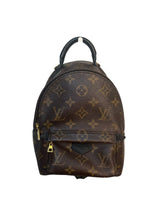 Louis Vuitton Palm Springs Mini Monogram Backpack