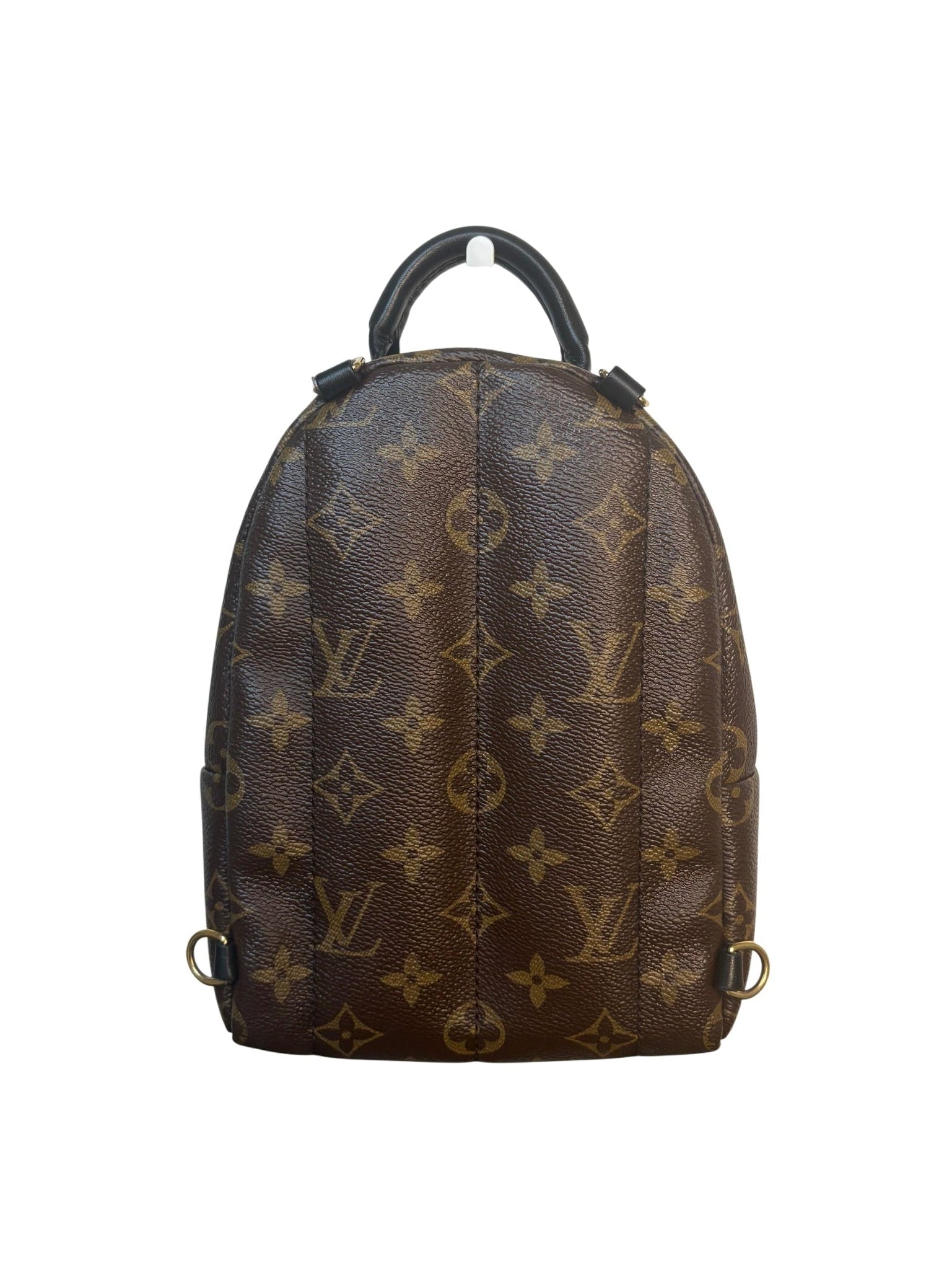 Louis Vuitton Palm Springs Mini Monogram Backpack