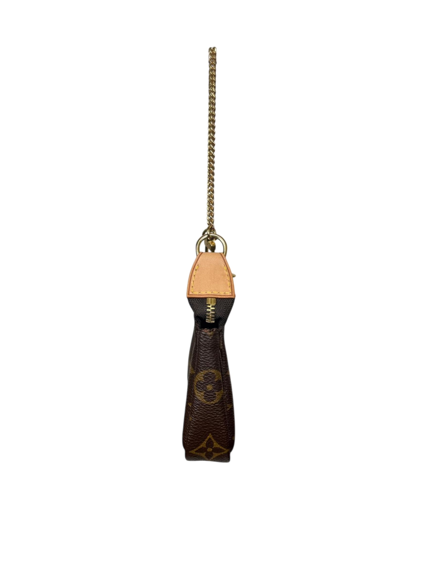 Louis Vuitton Monogram Pochette Accessoires Mini Bag