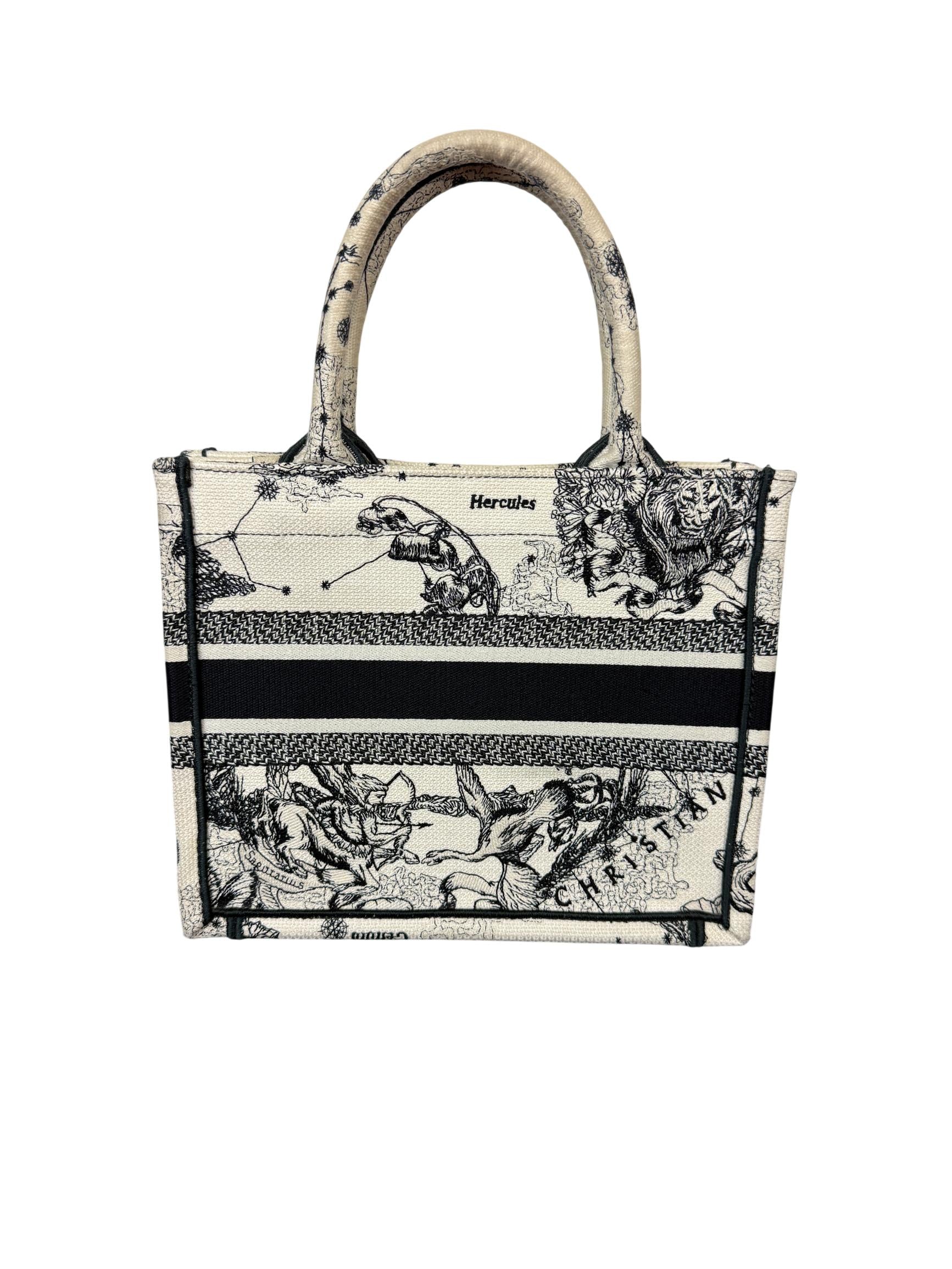Christian Dior Book Tote Small Hercules Embroidered Canvas Bag