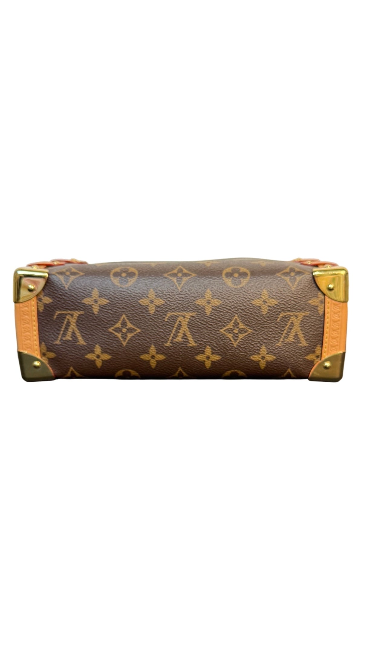 Louis Vuitton Side Trunk MM Monogram Canvas Shoulder Bag