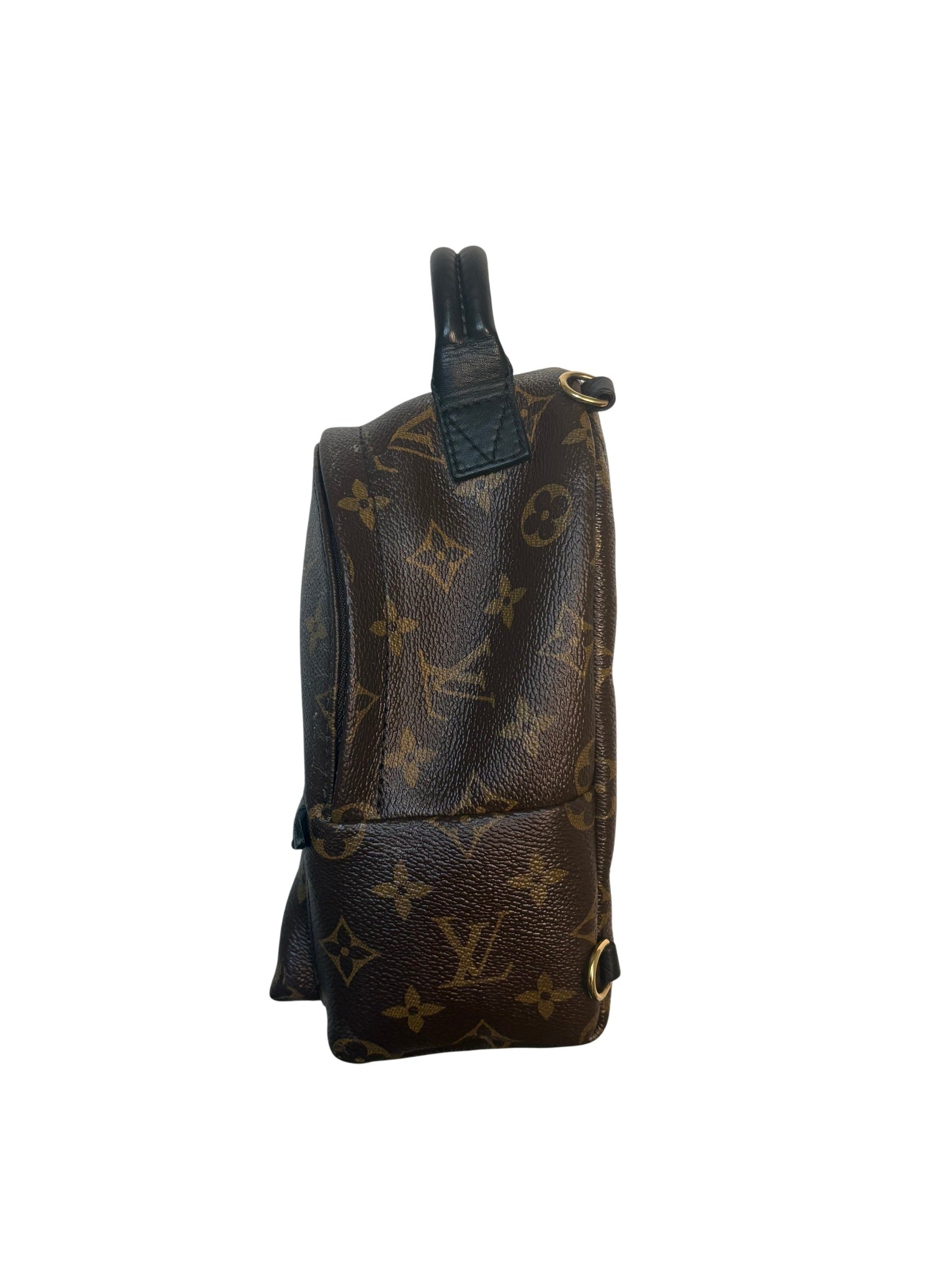 Louis Vuitton Palm Springs Mini Monogram Backpack