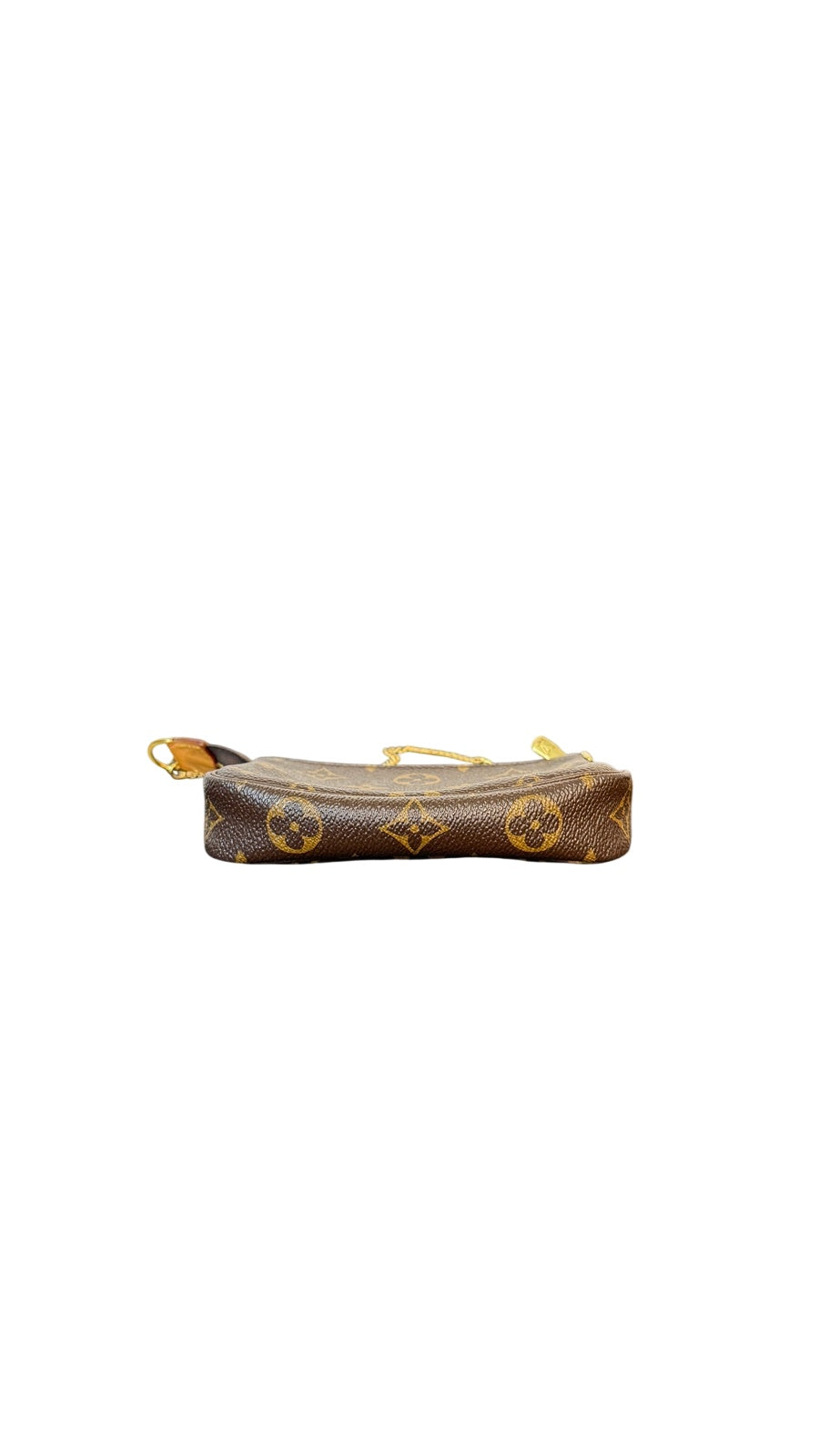 Louis Vuitton Monogram Pochette Bag
