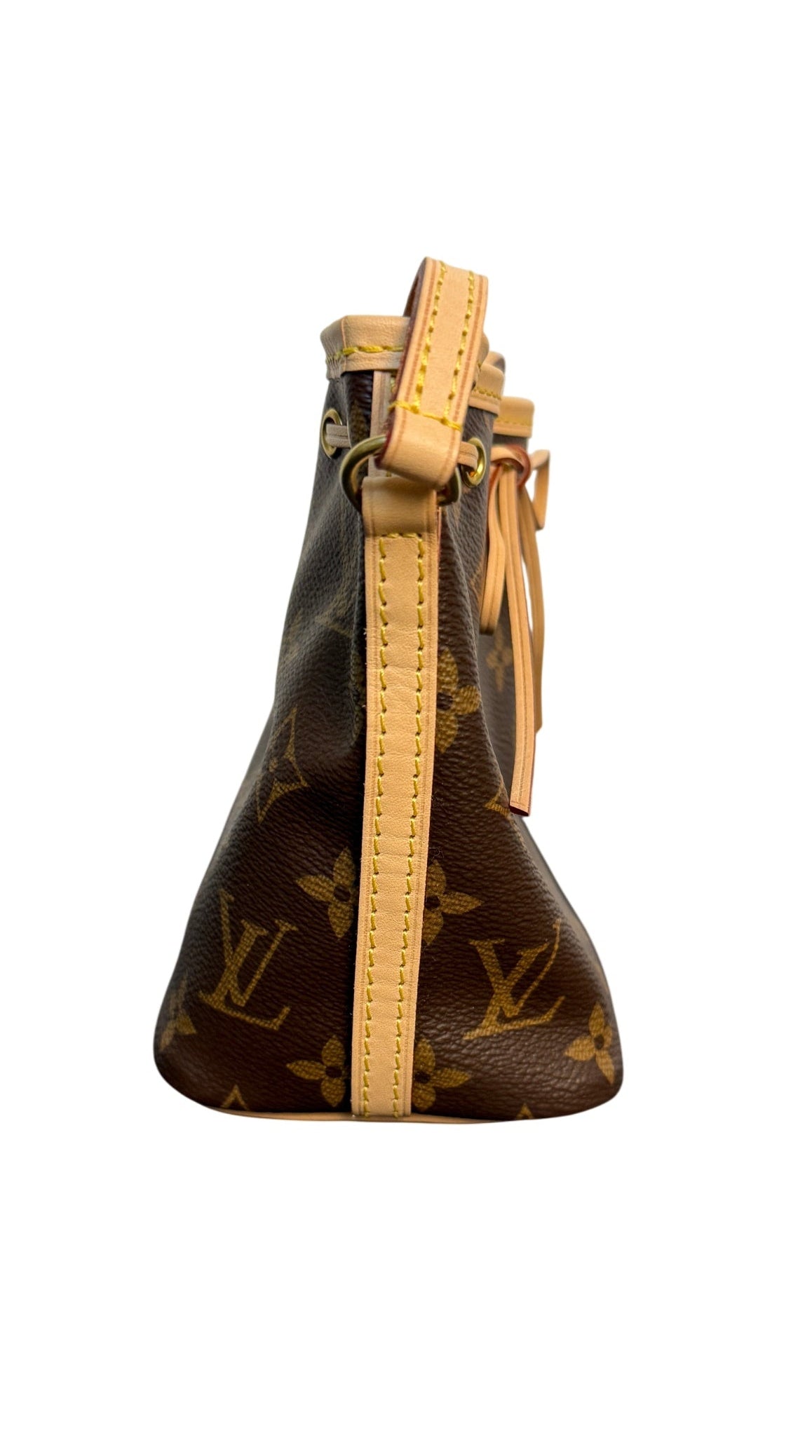 Louis Vuitton Monogram Nano Noé Bucket Bag
