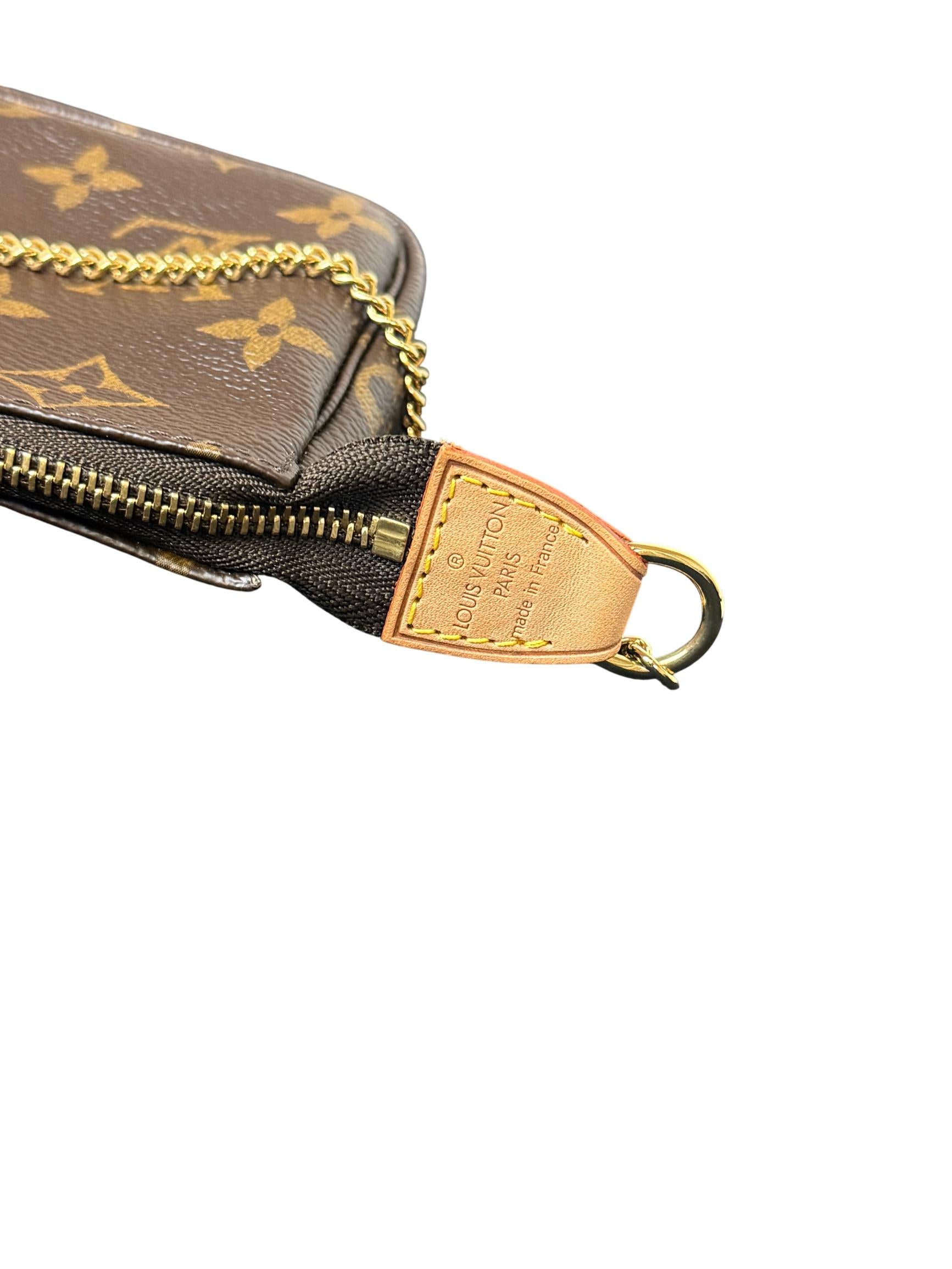 Louis Vuitton Monogram Pochette Accessoires Mini Bag