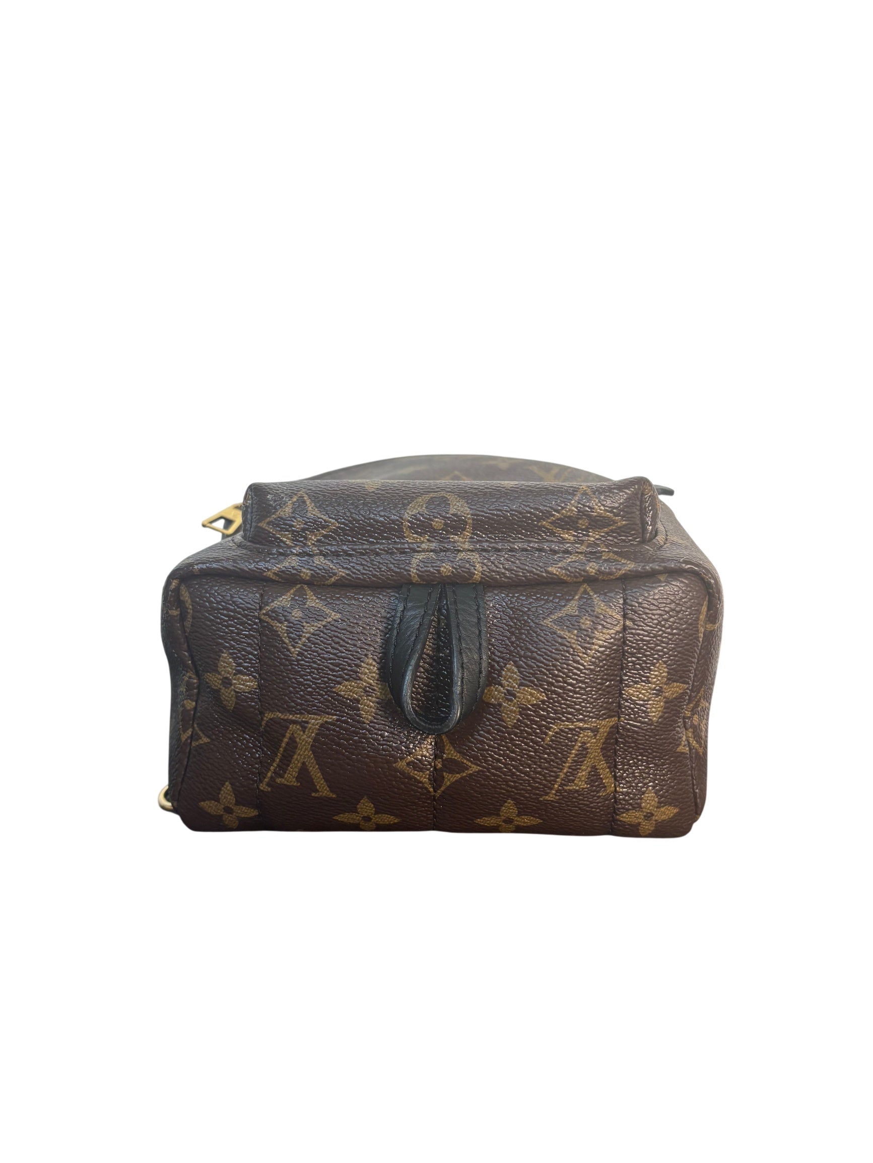 Louis Vuitton Palm Springs Mini Monogram Backpack