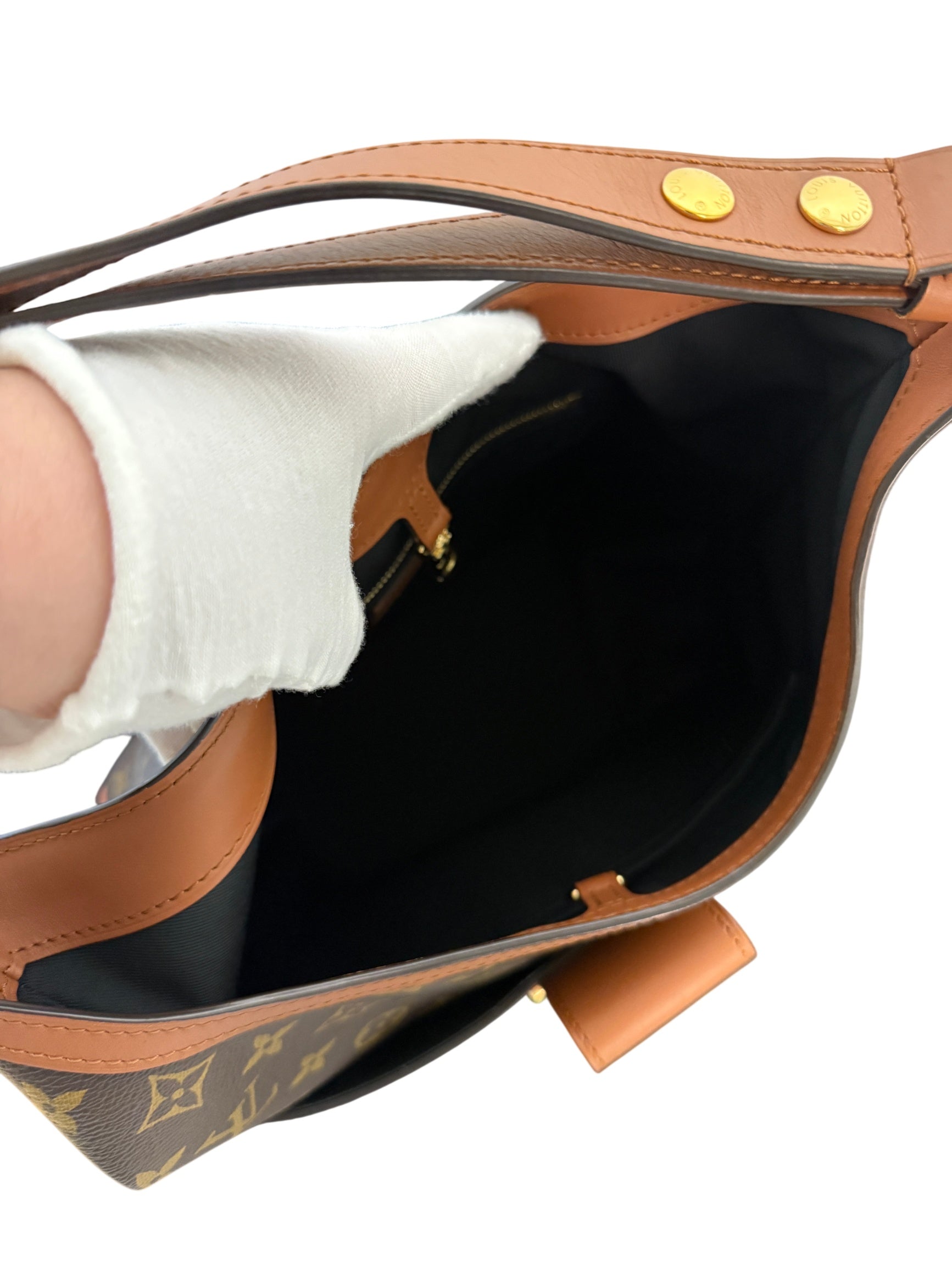 Louis Vuitton Dauphine MM Monogram Reverse Hobo Bag
