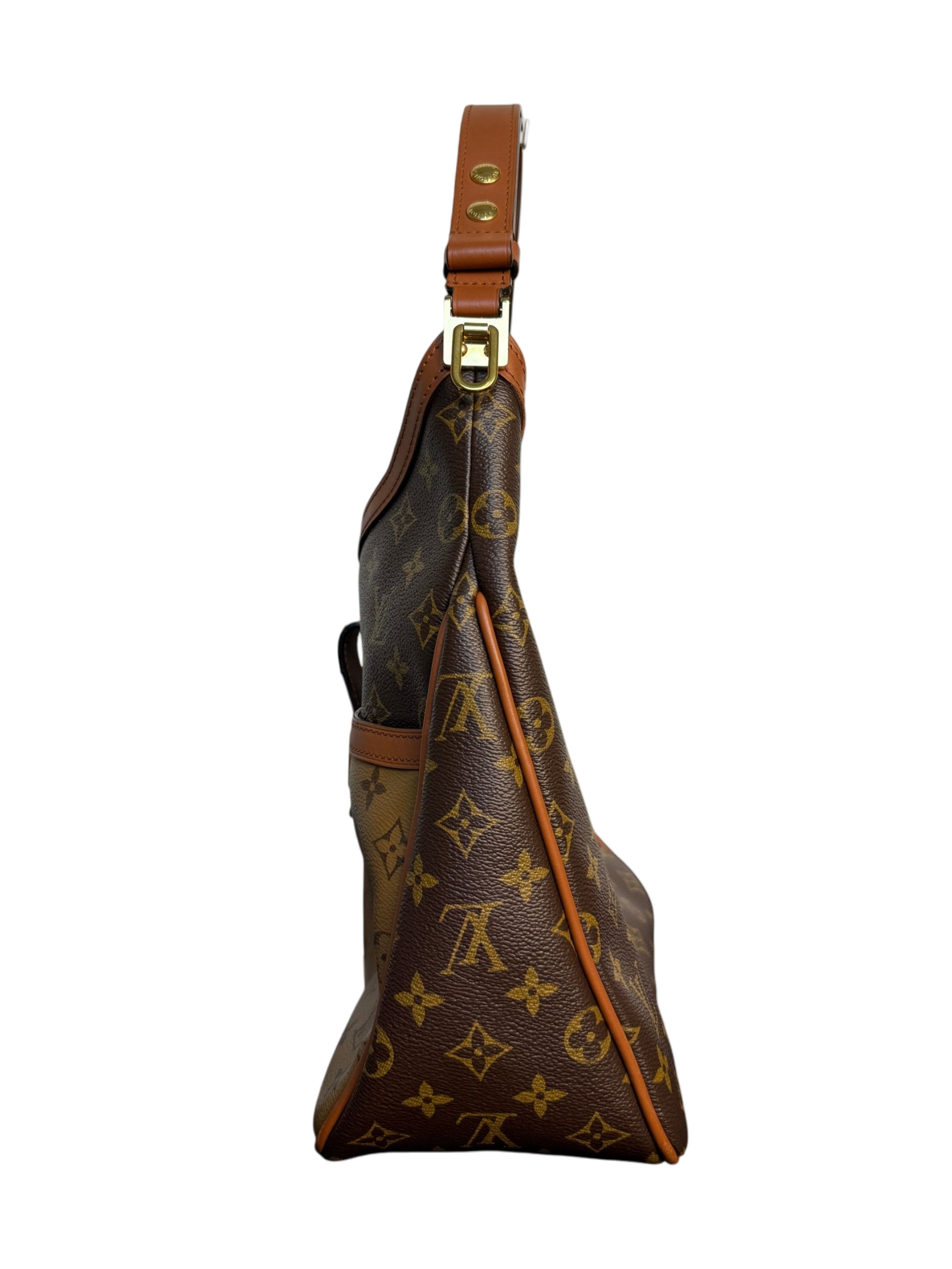 Louis Vuitton Dauphine MM Monogram Reverse Hobo Bag
