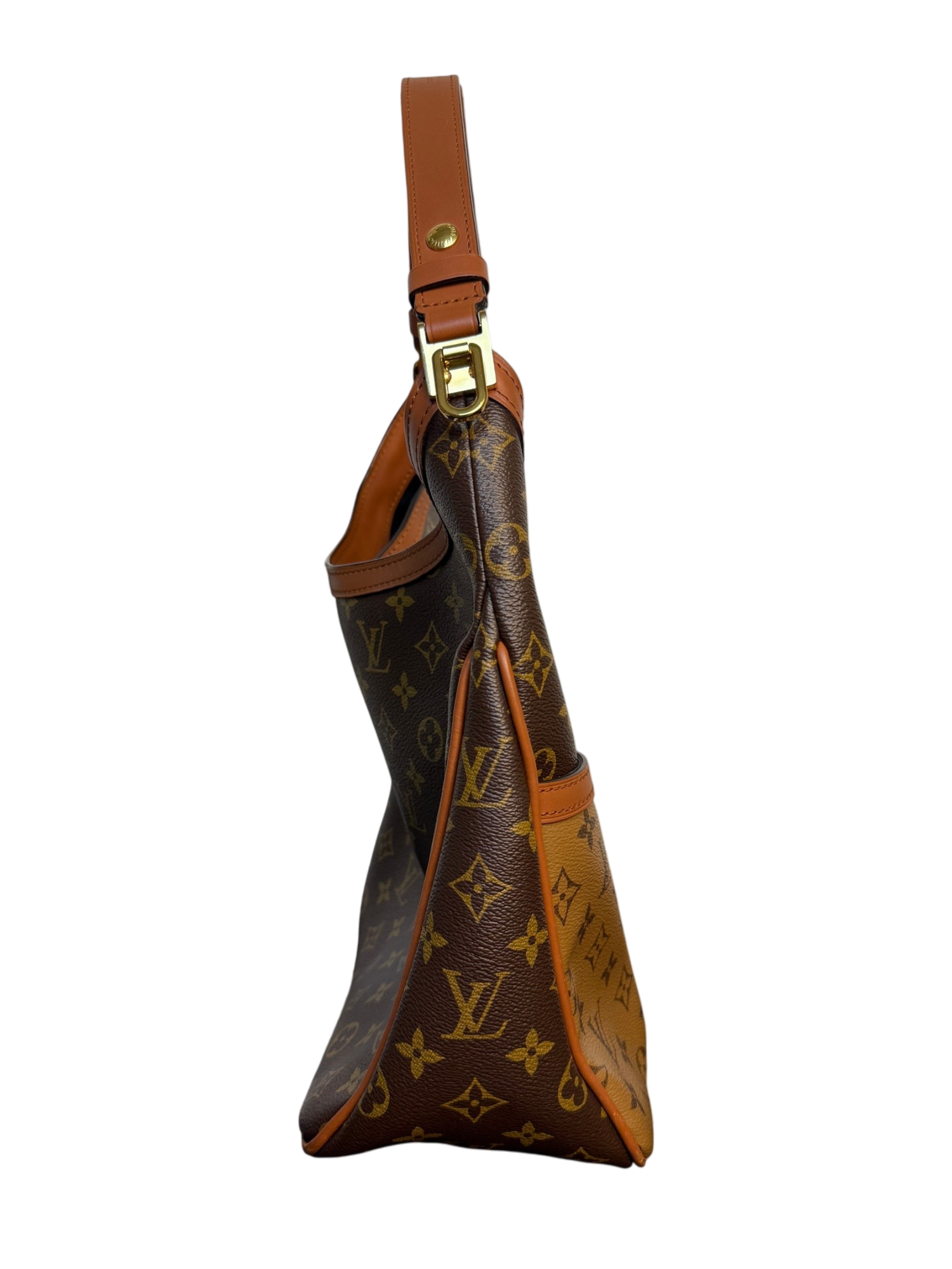 Louis Vuitton Dauphine MM Monogram Reverse Hobo Bag