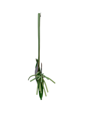 Rodeo Pegasus PM Bag Charm in Vert Yucca/Vert Criquet/Mauve Pale Milo Hermès Lambskin Leather
