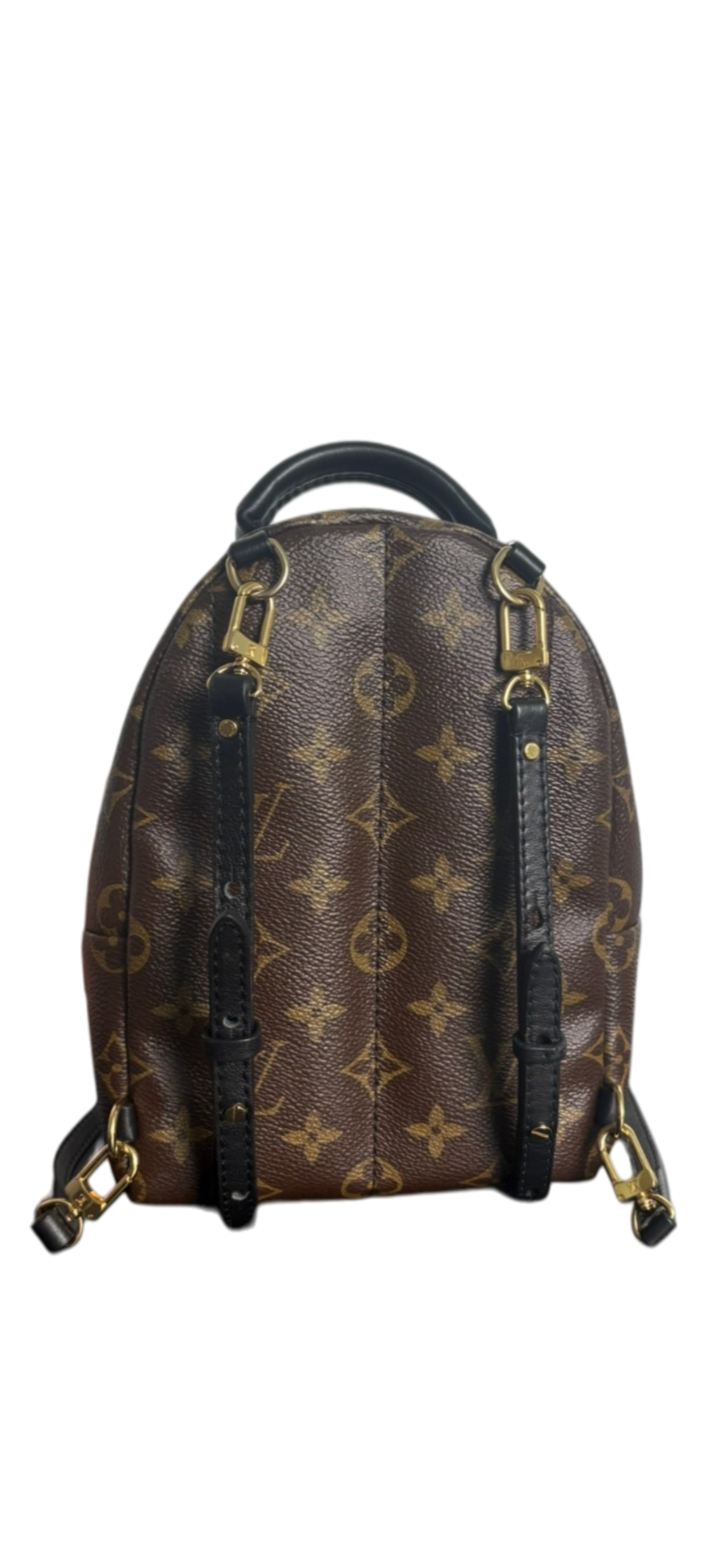 Louis Vuitton Palm Springs Mini Monogram Backpack