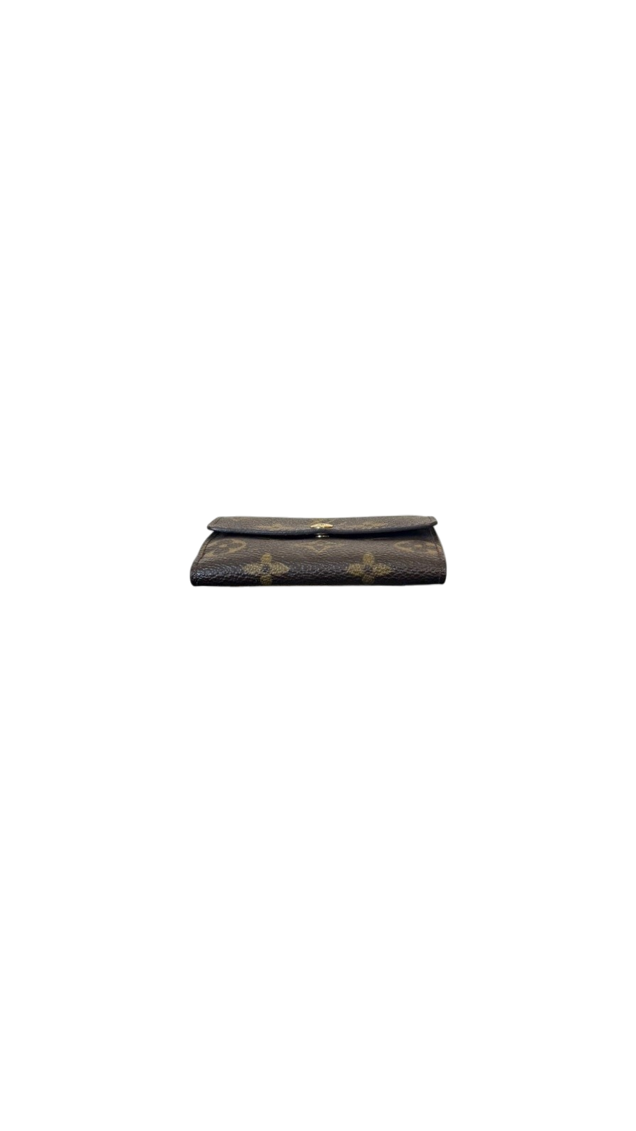 Louis Vuitton Monogram Canvas Wallet