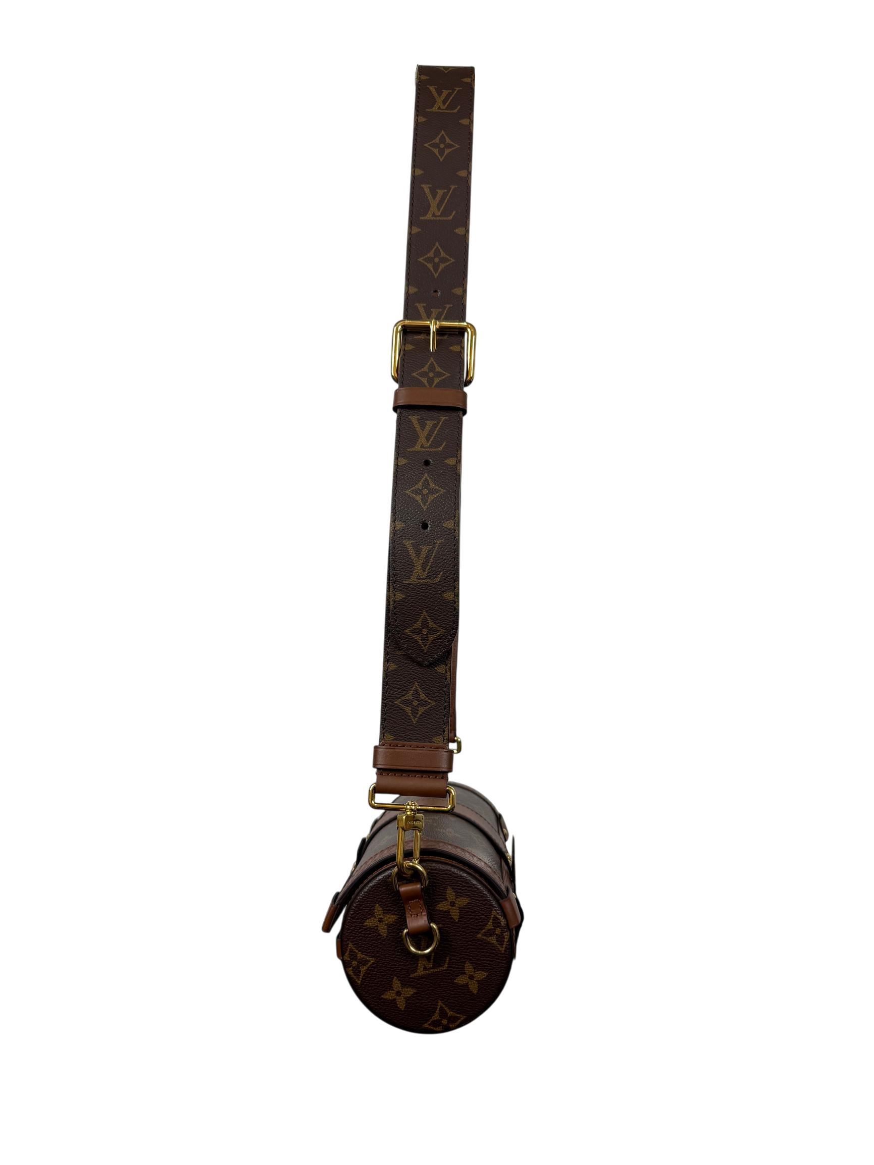 Louis Vuitton Papillon Trunk Monogram Canvas Crossbody Bag